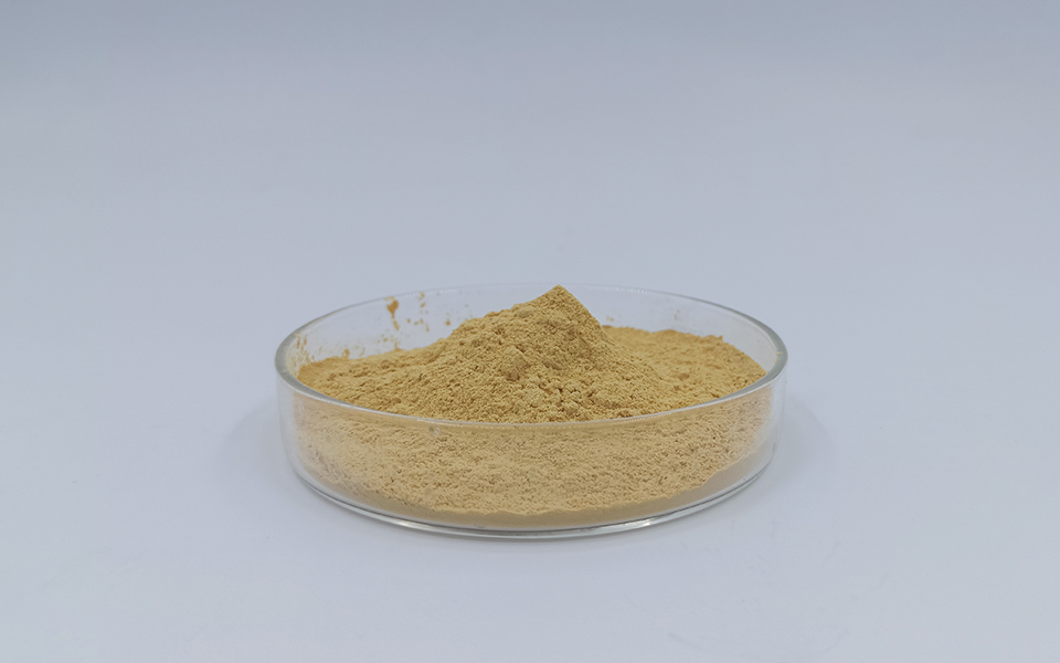 石膏緩凝劑在建筑石膏抹灰工程中的應(yīng)用優(yōu)勢(shì)